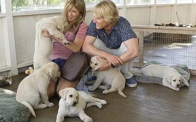 2008-Marley & Me-Theodore Shapiro-4