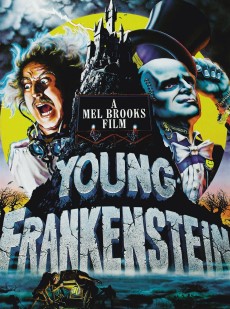 El jovencito Franquenstein (1974)