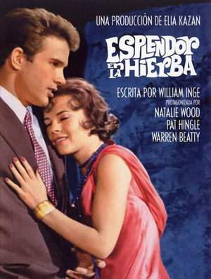 Esplendor en la hierba (1961)